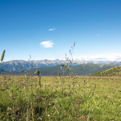 Mountain panorama with blue sky and green meadows in the foreground.