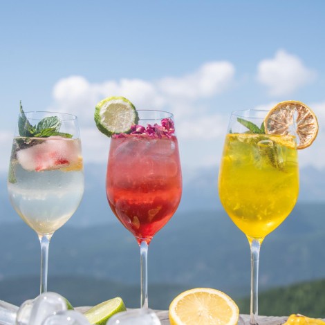 Three cocktails on a wooden table, surrounded by ice cubes, lemon slices and flowers, with a mountain landscape and blue sky in the background.