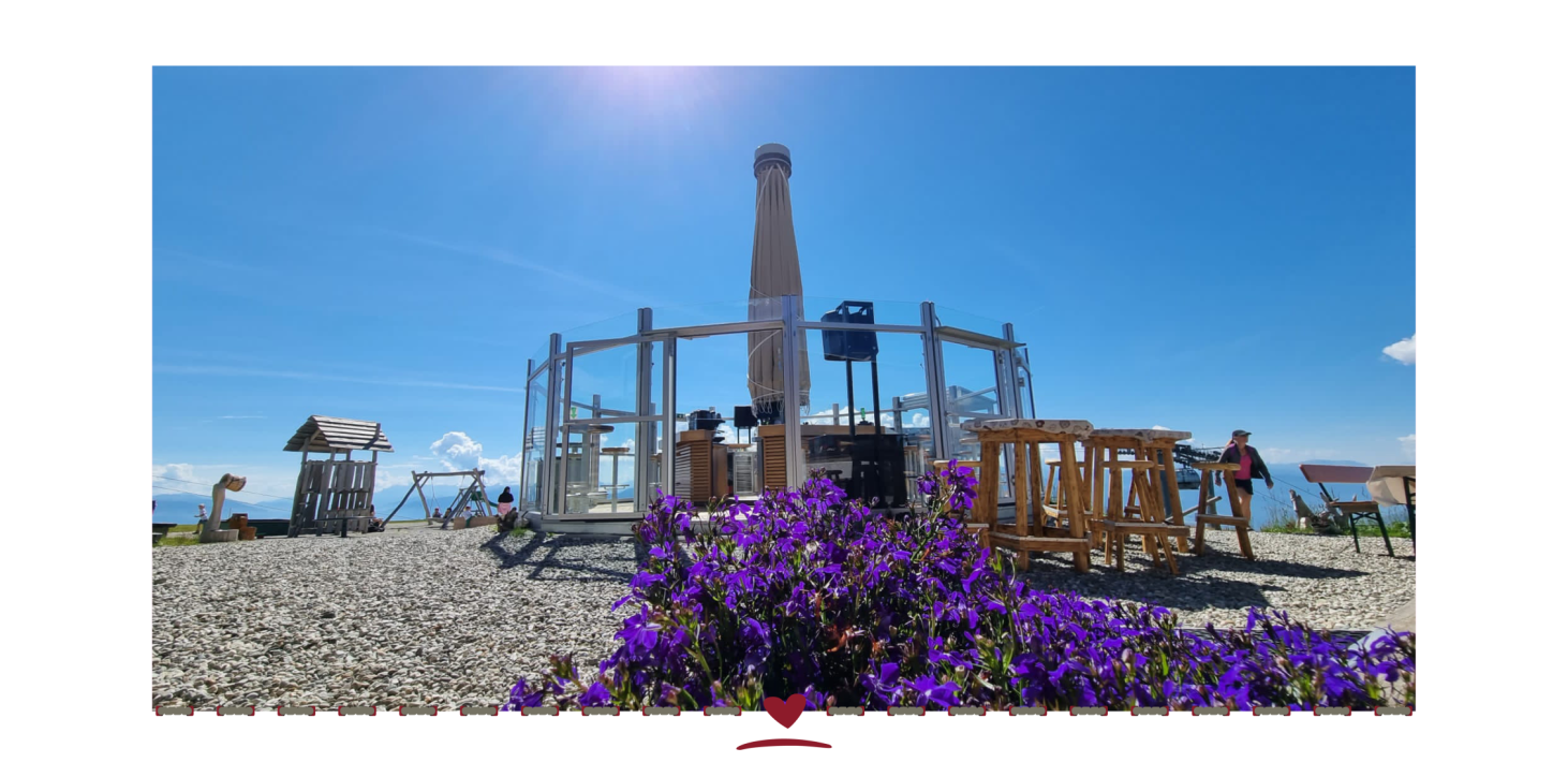 Blühende lila Blumen im Vordergrund, dahinter Holzstühle und ein hoher Kamin unter blauem Himmel.